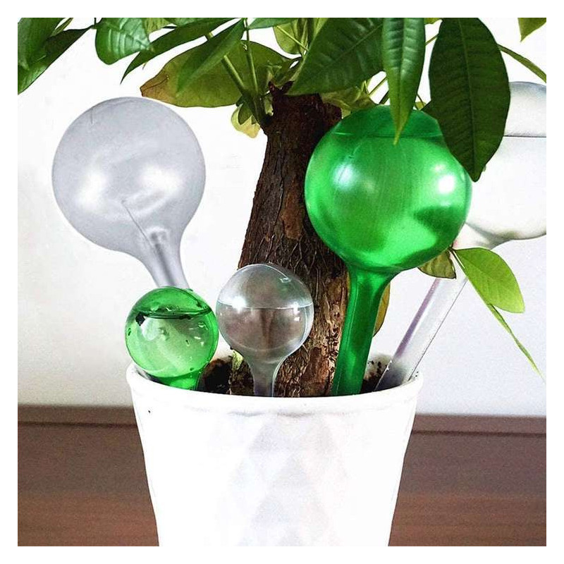 Kula nawadniająca do roślin przezroczysta XXL 26x8cm