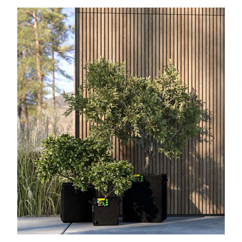 Herbgarden Jungle Bag Round 10L - doniczka materiałowa 24x24x22cm Herbgarden Jungle Bag Round 10L - doniczka materiałowa 24x24x22cm