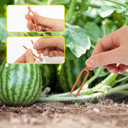 Plastikowe klipsy mocujące do roślin 50szt