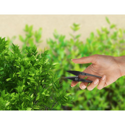 Herbgarden Mini Scissors - mini nożyczki do przycinania roślin
