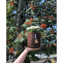 Growbag Root Pouch doniczka materiałowa 15x19cm 3,8L brązowa