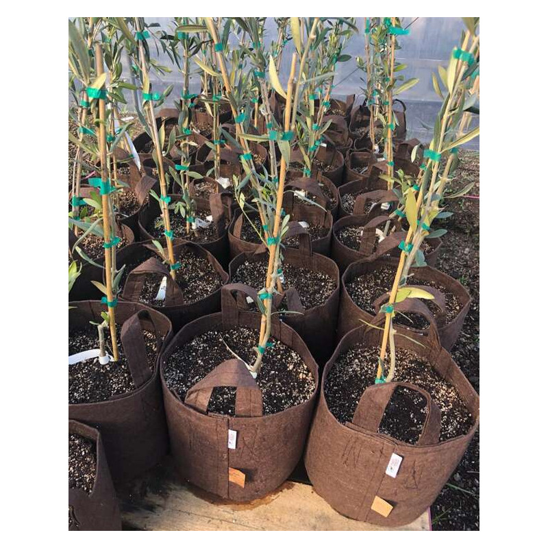 Growbag Root Pouch doniczka materiałowa 15x19cm 3,8L brązowa