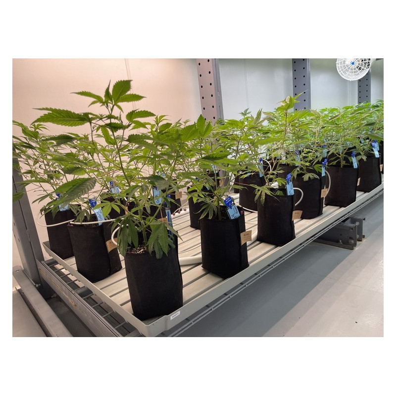 Growbag Root Pouch doniczka materiałowa 13x15cm 2L Thin Black