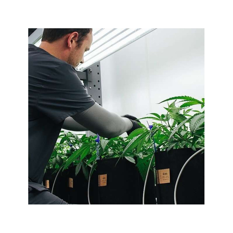 Growbag Root Pouch doniczka materiałowa 13x15cm 2L Thin Black