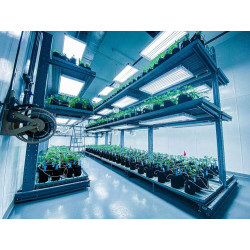 Growbag Root Pouch doniczka materiałowa 13x15cm 2L Thin Black