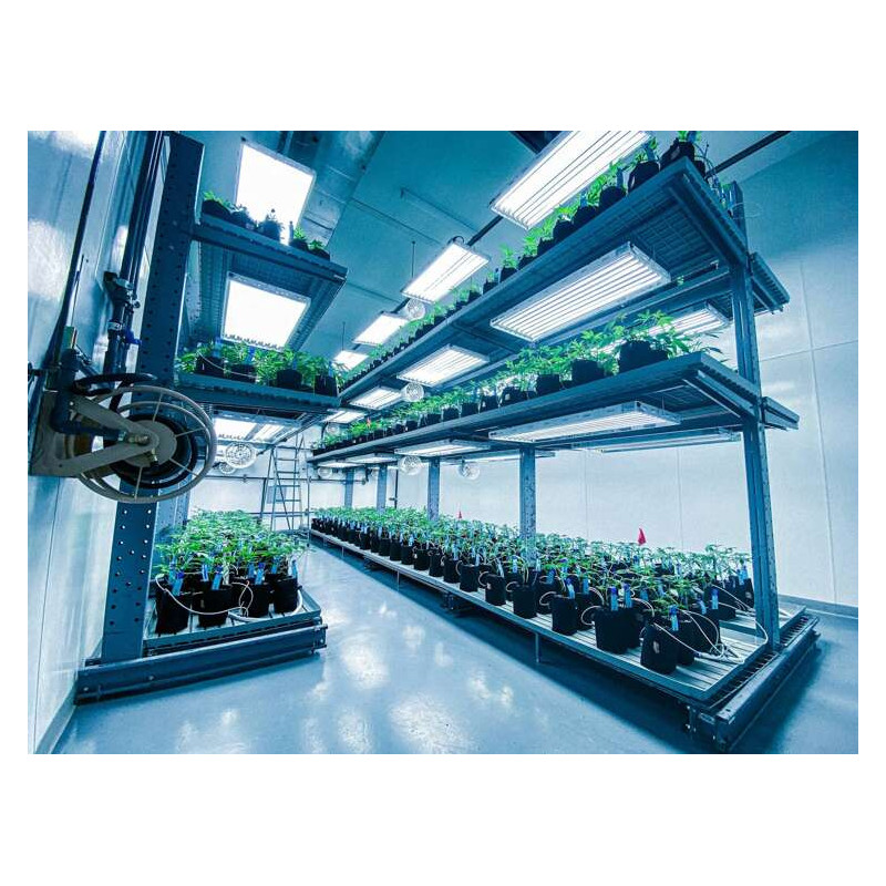 Growbag Root Pouch doniczka materiałowa 13x15cm 2L Thin Black