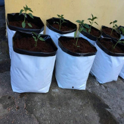 Herbgarden Doniczka foliowa 5gal / 19L 1szt Herbgarden Doniczka foliowa 5gal / 19L 1szt