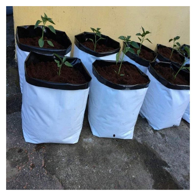 Herbgarden Doniczka foliowa 3gal / 12L 1szt Herbgarden Doniczka foliowa 3gal / 12L 1szt