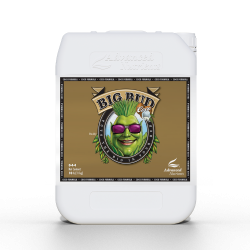 Advanced Nutrients BIG BUD COCO 10L | stymulator kwitnienia