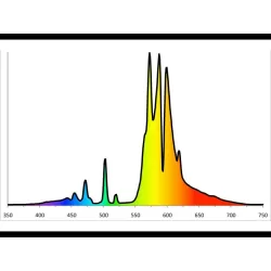 Lampa żarówka HPS Secret Jardin 600W - na kwitnienie