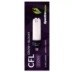 Żarówka CFL 250W Spectromaster - 6U - 2100+6400K Dual (wzrost i kwitnienie)