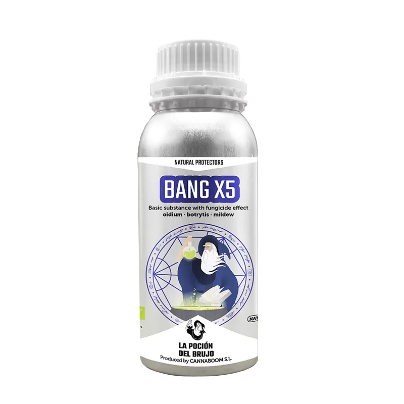Cannaboom Bang X5 600ml - naturalna ochrona roślin przed grzybami, szarą pleśnią, mącznikiem Cannaboom Bang X5 600ml - naturalna ochrona roślin przed grzybami, szarą pleśnią, mącznikiem