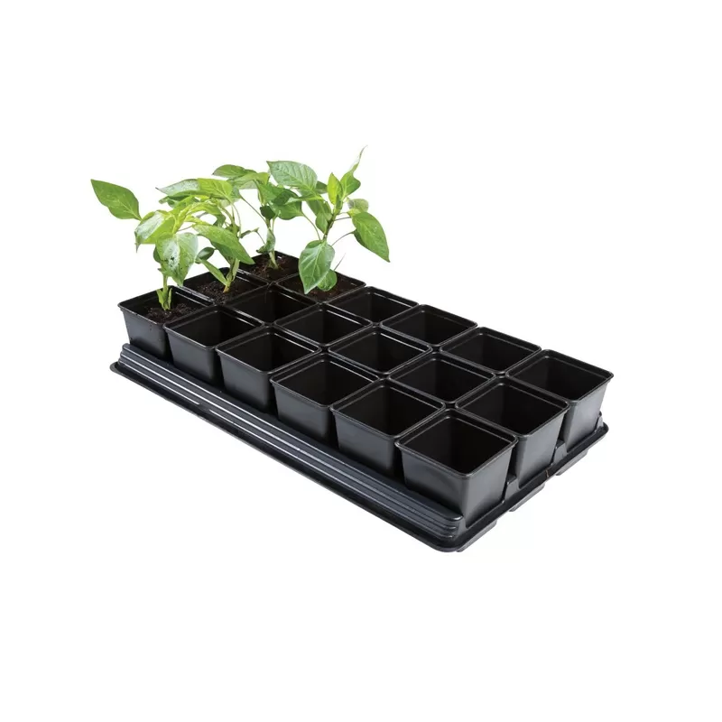 Garland Taca do uprawy warzyw i ziół z plastikowymi doniczkami (18x 9cm) 54.5 x 31 x 10 cm Garland Taca do uprawy warzyw i ziół z plastikowymi doniczkami (18x 9cm) 54.5 x 31 x 10 cm