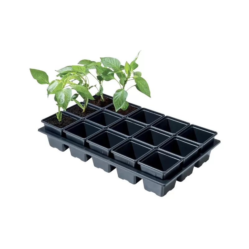 Garland Mini taca do uprawy warzyw i ziół z plastikowymi doniczkami (15x 7cm) 38 x 23.5 x 7.5 cm Garland Mini taca do uprawy warzyw i ziół z plastikowymi doniczkami (15x 7cm) 38 x 23.5 x 7.5 cm