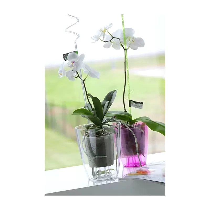 Prosperplast Coubi Orchid 2,4L - Doniczka okrągła przezroczysta do orchidei / storczyków fi 16cm Prosperplast Coubi Orchid 2,4L - Doniczka okrągła przezroczysta do orchidei / storczyków fi 16cm