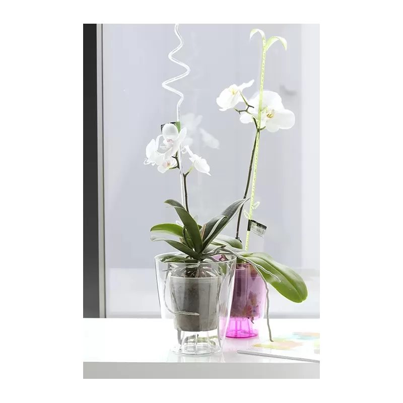 Prosperplast Coubi Orchid 2,4L - Doniczka okrągła przezroczysta do orchidei / storczyków fi 16cm Prosperplast Coubi Orchid 2,4L - Doniczka okrągła przezroczysta do orchidei / storczyków fi 16cm