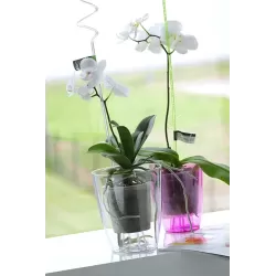 Prosperplast Coubi Orchid 1,5L - Doniczka okrągła przezroczysta do orchidei / storczyków fi 13,2cm Prosperplast Coubi Orchid 1,5L - Doniczka okrągła przezroczysta do orchidei / storczyków fi 13,2cm