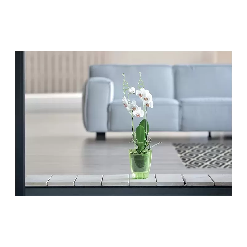 Prosperplast Coubi Orchid 1,5L - Doniczka okrągła przezroczysta do orchidei / storczyków fi 13,2cm Prosperplast Coubi Orchid 1,5L - Doniczka okrągła przezroczysta do orchidei / storczyków fi 13,2cm
