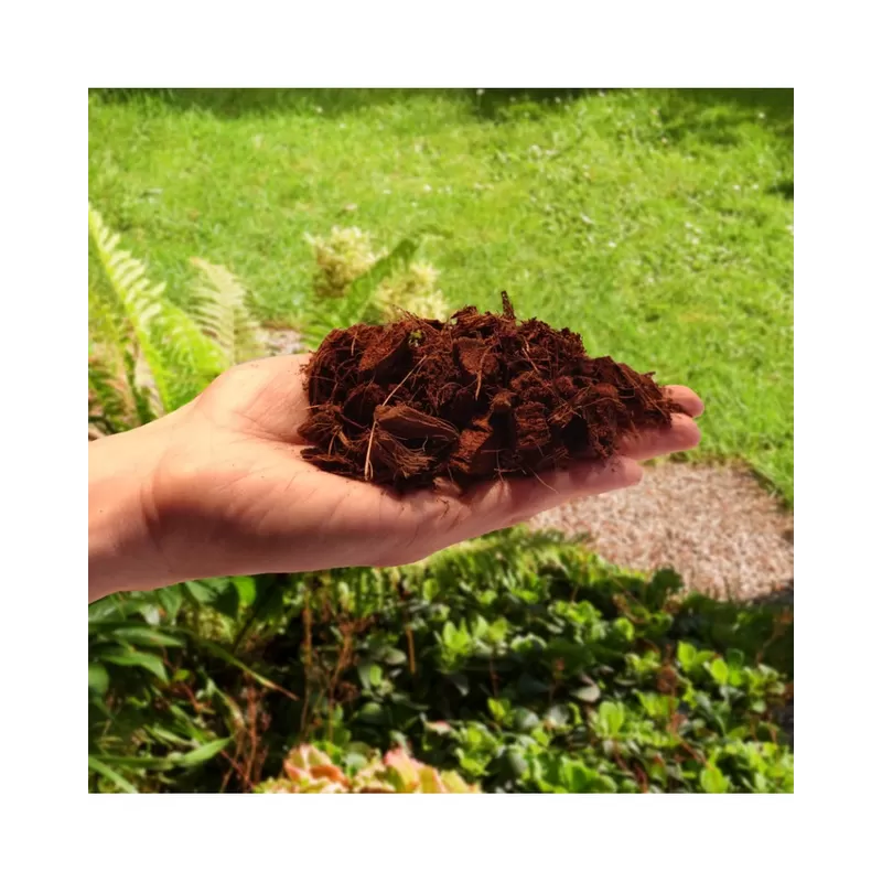 Biovita Czipsy Kokosowe Brykiet Coco Chips 4,5kg