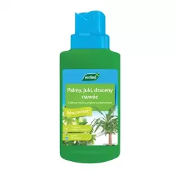 Westland Nawóz do palmy, juki i draceny 250ml