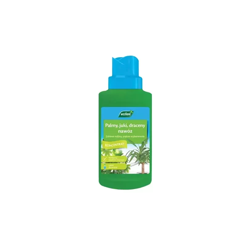 Westland Nawóz do palmy, juki i draceny 250ml Westland Nawóz do palmy, juki i draceny 250ml