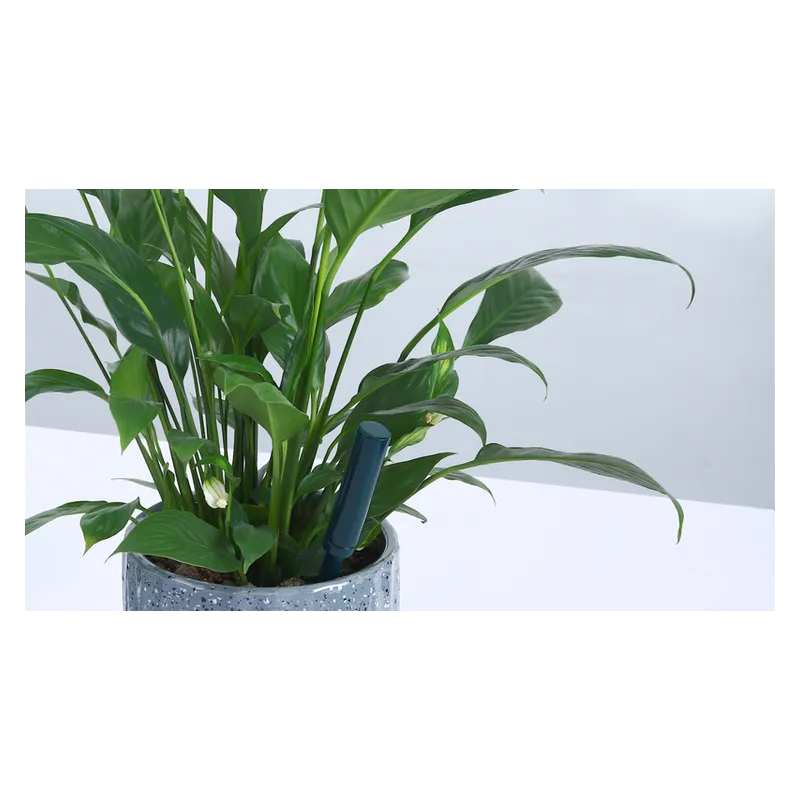 iBebot SoilQuality – inteligentny czujnik wilgotności i EC gleby | data logger