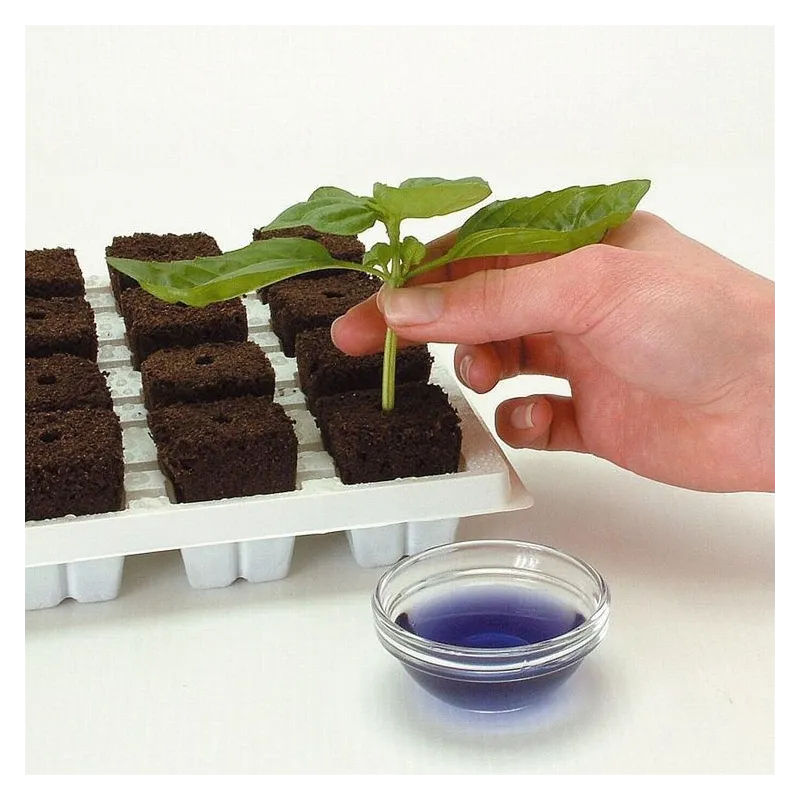 Growth Technology Root Riot Tray 77 - kostki gąbki torfowe do sadzonek / klonów taca 77szt