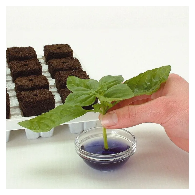 Growth Technology Root Riot Tray 77 - kostki gąbki torfowe do sadzonek / klonów taca 77szt