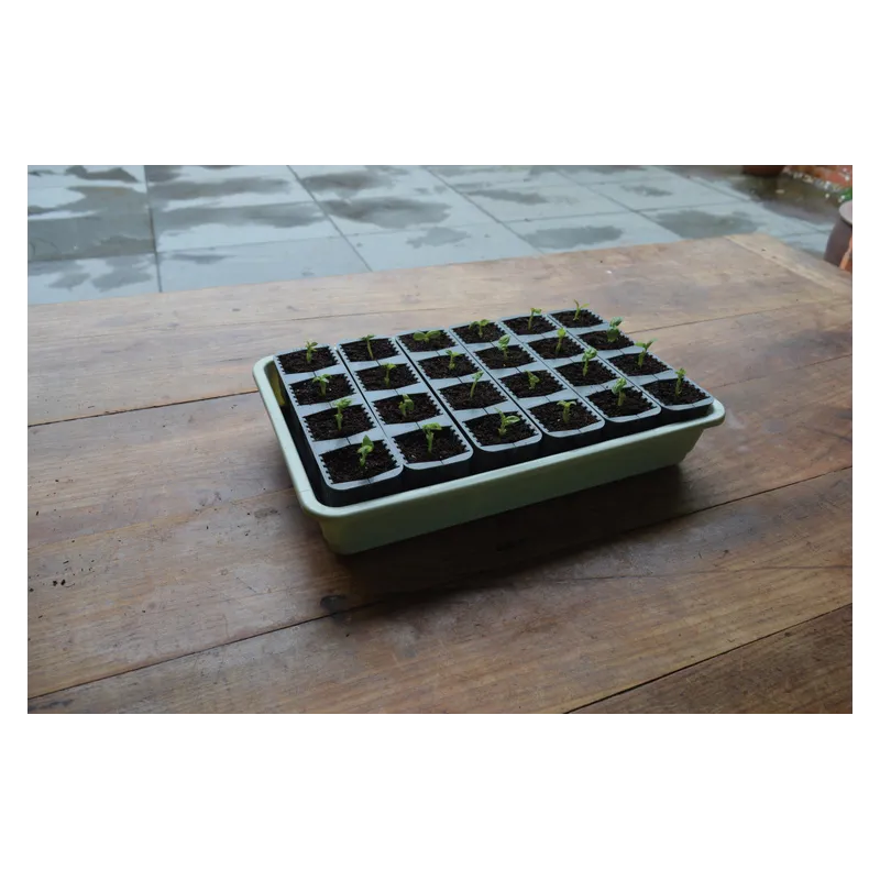Samonawadniający propagator Garland z 24 wkładami do ukorzeniania 38x23xh14cm G241