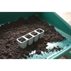 Samonawadniający propagator Garland z 24 wkładami do ukorzeniania 38x23xh14cm G241