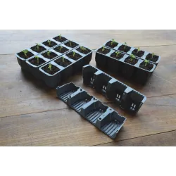 Samonawadniający propagator Garland z 24 wkładami do ukorzeniania 38x23xh14cm G241