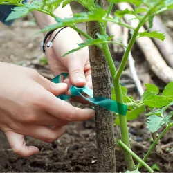 Biogród Taśma do podwiązywania roślin PVC 1,2cm x 40m