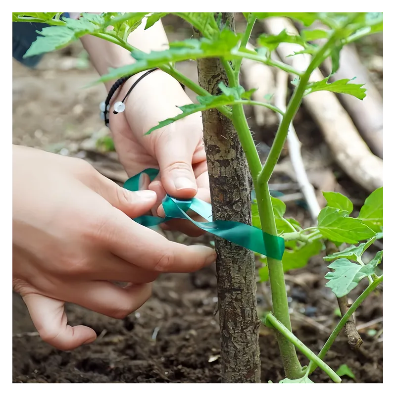Biogród Taśma do podwiązywania roślin PVC 1,2cm x 40m