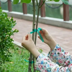 Biogród Taśma do podwiązywania roślin PVC 1,2cm x 40m