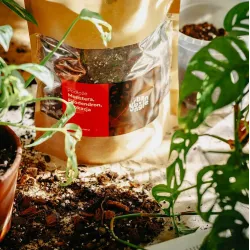 Urban Jungle Bigos podłoże ziemia dla Monstery, Filodendrona i Alokazji 5L
