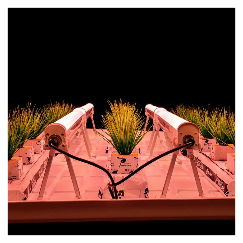 Faven R8 120W Under Canopy 2,9 µmol/J - suplementacyjne światło LED do roślin