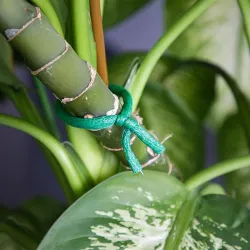 Biogród drut ogrodniczy z metalowym rdzeniem powlekanym miękką gąbką 10m x ⌀ 10mm