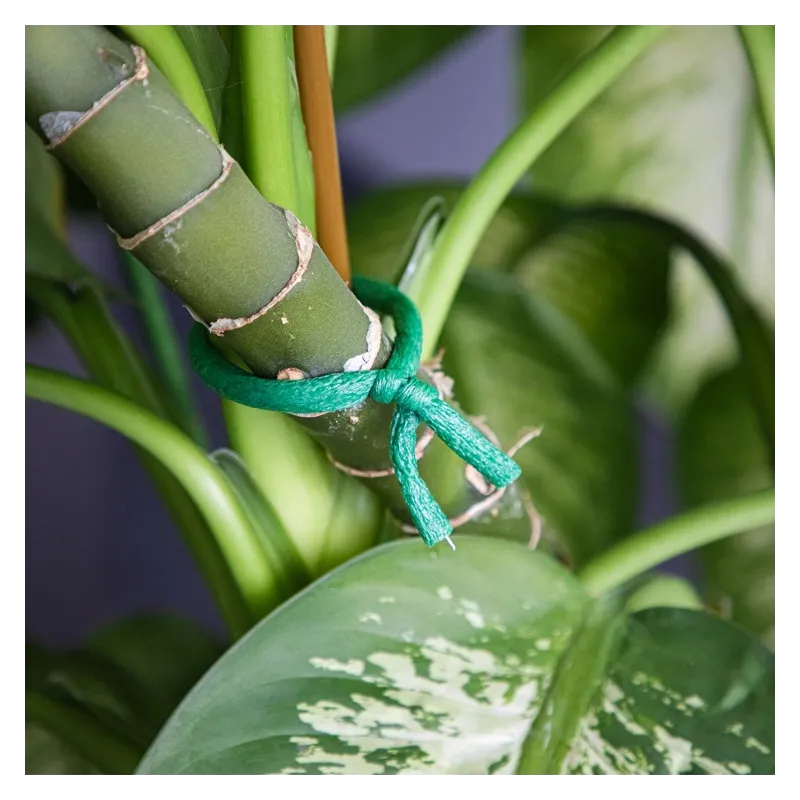 Biogród drut ogrodniczy z metalowym rdzeniem powlekanym miękką gąbką 10m x ⌀ 10mm