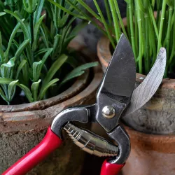 Esschert Design – Sekator ogrodowy z powlekanym uchwytem