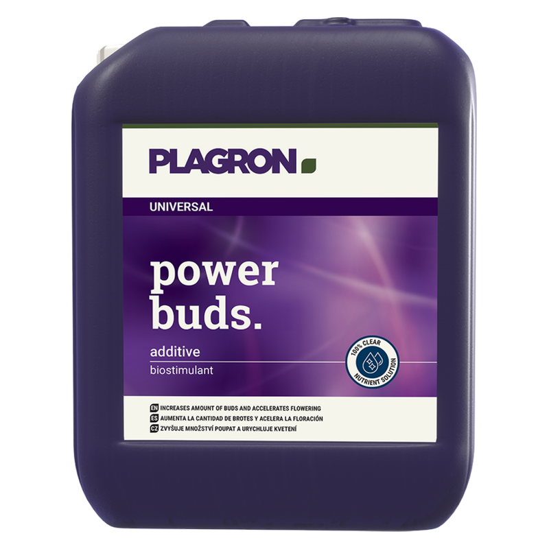 Plagron Power buds 5l | zwiększa zawiązywanie się kwiatów oraz przyspiesza proces kwitnienia Plagron Power buds 5l | zwiększa zawiązywanie się kwiatów oraz przyspiesza proces kwitnienia