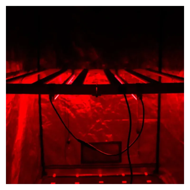 Agrolite NIR Twins 2×22W - listwy LED uzupełniające światło podczerwone / far-red