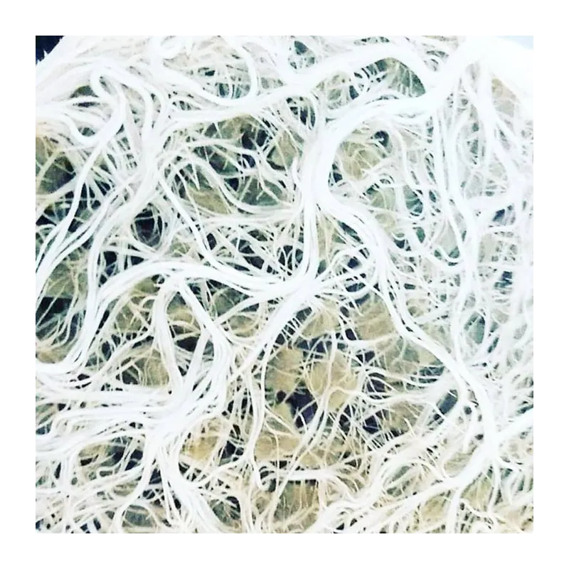 Plant Success King Crab 100ml – naturalny stymulator korzeni i gleby, zwiększa fosfor