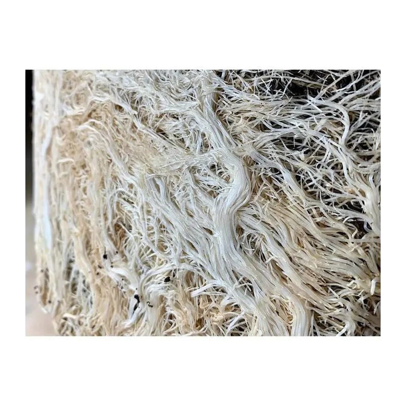 Plant Success King Crab 100ml – naturalny stymulator korzeni i gleby, zwiększa fosfor