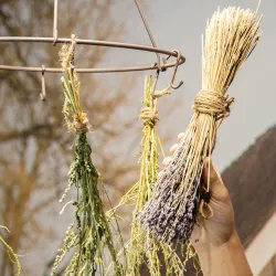 Esschert Design – metalowa szuszarka do kwiatów i ziół 35x35x40cm