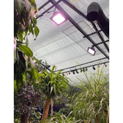 Verticana Outdoor Industrial 230W 90° - lampa zewnętrzna do doświetlania roślin