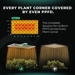Mars Hydro Smart FC 4000-EVO 320W 2.85 μmol/j Samsung LM301H EVO Lampa Led Grow Full Spectrum
