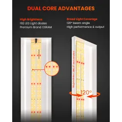 Spider farmer SF300 32W 60cm Osram - podłużna lampa LED do roślin (rekomendowana do sadzonek)