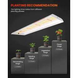 Spider farmer SF300 32W 60cm Osram - podłużna lampa LED do roślin (rekomendowana do sadzonek)