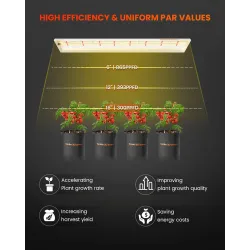 Spider farmer SF600 74W Osram 100cm - podłużna lampa LED do roślin (rekomendowana do sadzonek)