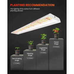 Spider farmer SF600 74W Osram 100cm - podłużna lampa LED do roślin (rekomendowana do sadzonek)